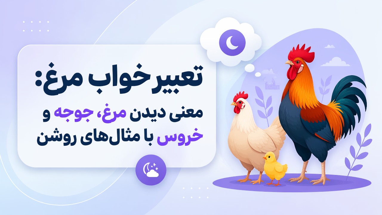 تعبیر خواب مرغ: معنی دیدن مرغ، جوجه و خروس با مثال‌های روشن