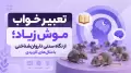 تعبیر خواب موش زیاد؛ از نگاه سنتی تا روان‌شناختی با مثال‌های کاربردی