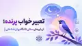 تعبیر خواب پرنده؛ از باورهای سنتی تا نگاه روان‌شناختی