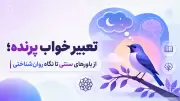 تعبیر خواب پرنده؛ از باورهای سنتی تا نگاه روان‌شناختی