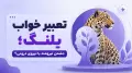 تعبیر خواب پلنگ؛ دشمن نیرومند یا نیروی درونی؟