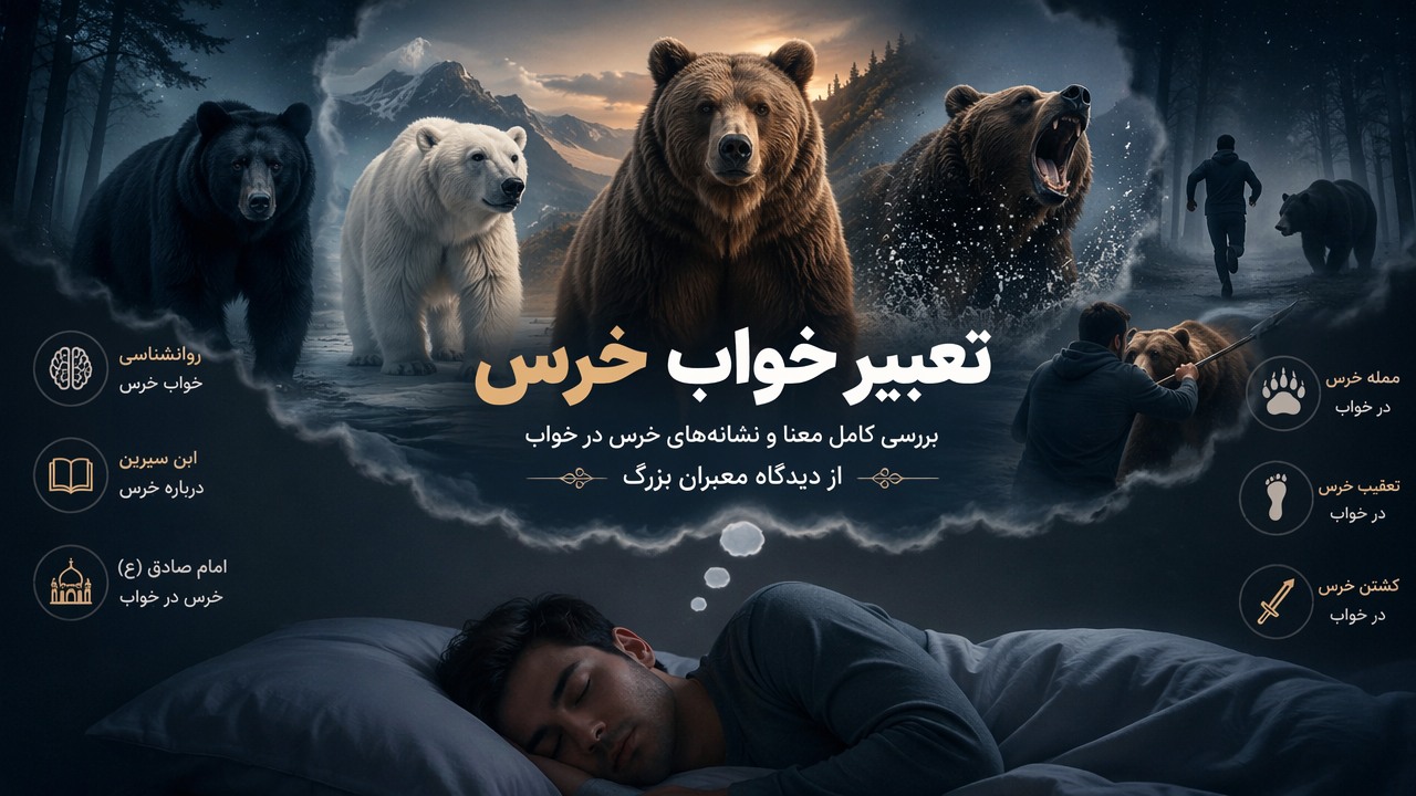 تعبیر خواب خرس, خرس در خواب, خرس سفید, خرس سیاه, خرس قهوهای, حمله خرس در خواب, تعقیب خرس در خواب, کشتن خرس, روانشناسی خواب خرس, ابن سیرین خرس, امام صادق خرس, معنی خواب خرس,