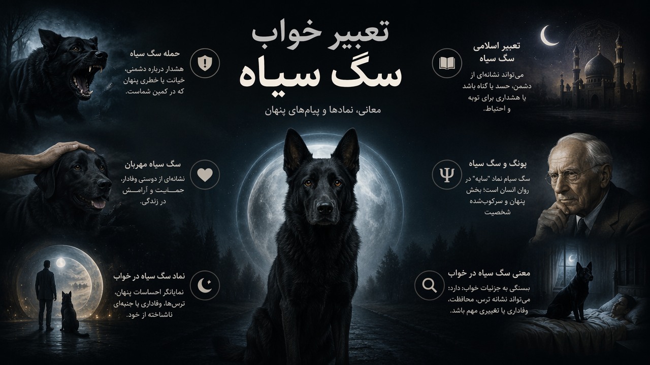 تعبیر خواب سگ سیاه, خواب سگ سیاه, معنی سگ سیاه در خواب, حمله سگ سیاه, سگ سیاه مهربان, تعبیر اسلامی سگ سیاه, یونگ سگ سیاه, نماد سگ سیاه در خواب,