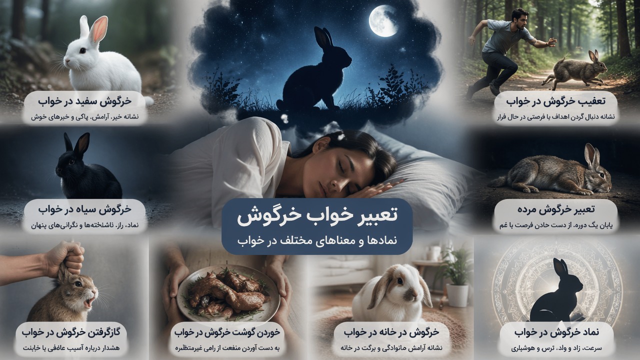 تعبیر خواب خرگوش, خرگوش سفید در خواب, خرگوش سیاه در خواب, تعقیب خرگوش در خواب, کشتن خرگوش در خواب, خوردن گوشت خرگوش در خواب, خرگوش در خانه در خواب, نماد خرگوش در خواب, تعبیر خرگوش مرده, گاز گرفتن خرگوش در خواب, 