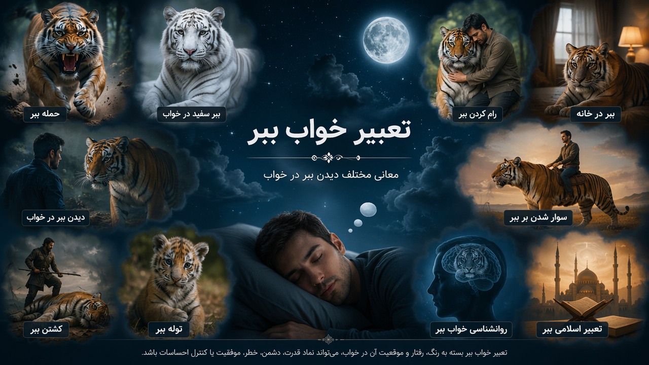 تعبیر خواب ببر, دیدن ببر در خواب, حمله ببر, ببر سفید در خواب, کشتن ببر, رام کردن ببر, توله ببر, ببر در خانه, سوار شدن بر ببر, روانشناسی خواب ببر, تعبیر اسلامی ببر,