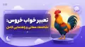 تعبیر خواب خروس: نشانه‌ها، معانی و راهنمایی کامل