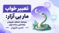 تعبیر خواب مار بی آزار: معناها، اختلاف نظرها و راهنمایی ساده برای تعبیر دقیق‌تر