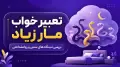 تعبیر خواب مار زیاد | بررسی دیدگاه های سنتی و روانشناختی