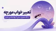 تعبیر خواب مورچه | از نگاه معبران سنتی تا روانشناسی مدرن