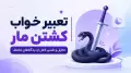 تعبیر خواب کشتن مار | تحلیل و تفسیر کامل از دیدگاه‌های مختلف