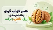 تعبیر خواب گردو از نگاه امام صادق؛ رزق، تلاش و برکت