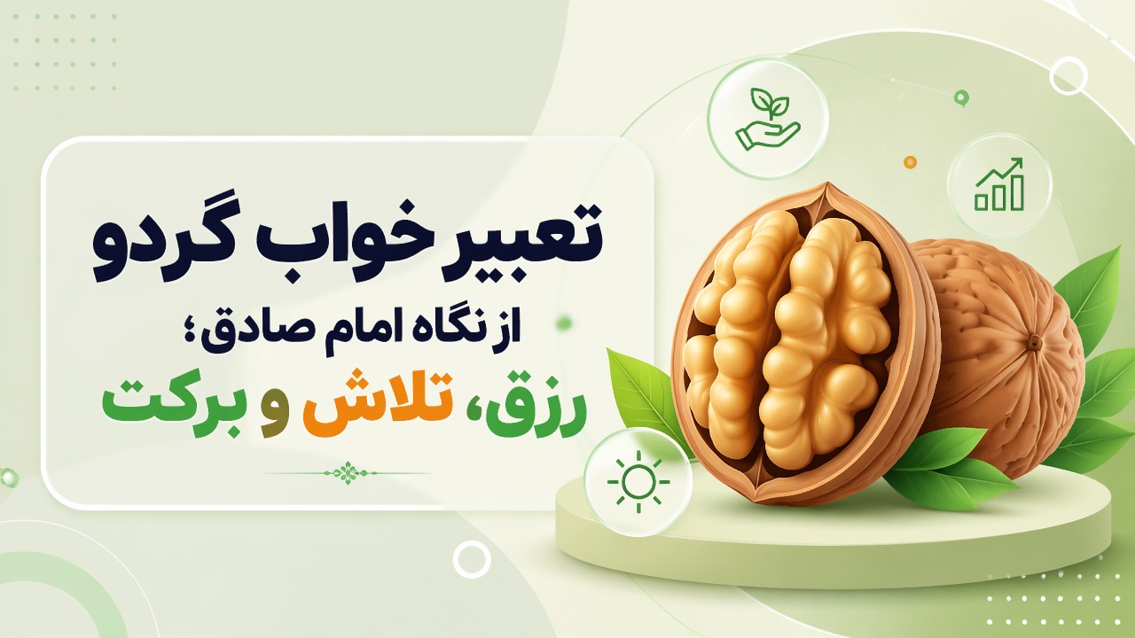 تعبیر خواب گردو از نگاه امام صادق؛ رزق، تلاش و برکت