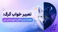 تعبیر خواب گرگ: از هشدار دشمن تا آشتی با خوی وحشی درون