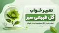 تعبیر خواب گل طبیعی سبز | معنی دیدن گل سبز شاداب در خواب