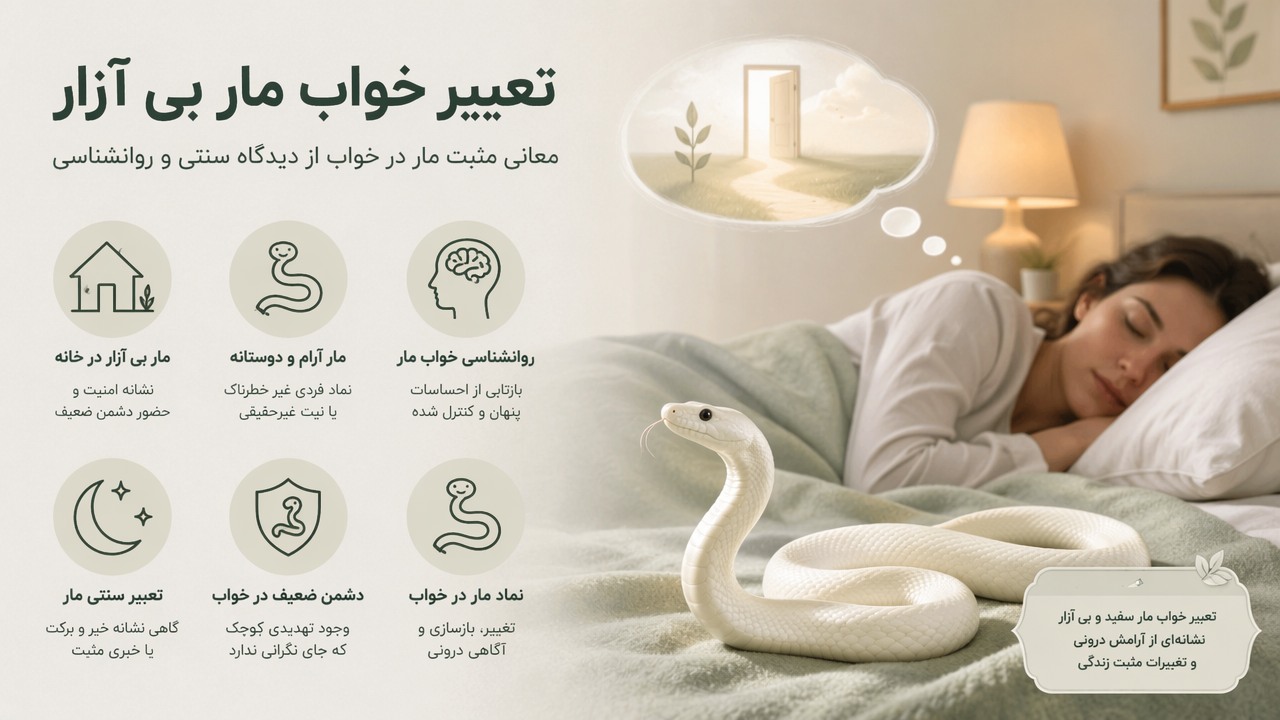 تعبیر خواب مار بی آزار, مار در خواب, تعبیر خواب مار سفید, مار بی آزار در خانه, روانشناسی خواب مار, تعبیر سنتی مار, نماد مار در خواب, دشمن ضعیف در خواب, تعبیر مار آرام, مار دوستانه,