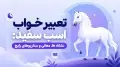 تعبیر خواب اسب سفید: نشانه ها، معانی و سناریوهای رایج