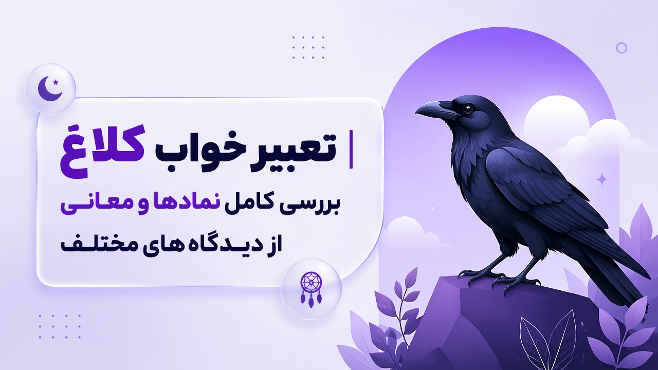 تعبیر خواب کلاغ | بررسی کامل نمادها و معانی از دیدگاه‌های مختلف