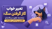 تعبیر خواب گاز گرفتن سگ: نشانه ها، تفاوت دیدگاه ها و تفسیر بر اساس جزئیات