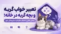 تعبیر خواب گربه و بچه گربه در خانه؛ معانی اصلی، اختلاف نظرها و سناریوهای رایج