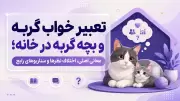 تعبیر خواب گربه و بچه گربه در خانه؛ معانی اصلی، اختلاف نظرها و سناریوهای رایج