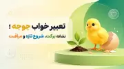 تعبیر خواب جوجه؛ نشانه برکت، شروع تازه و مراقبت