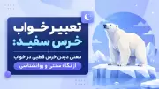 تعبیر خواب خرس سفید: معنی دیدن خرس قطبی در خواب از نگاه سنتی و روانشناسی