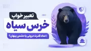 تعبیر خواب خرس سیاه | نماد قدرت درونی یا دشمن پنهان؟