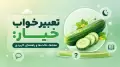 تعبیر خواب خیار: معناها، حالت‌ها و راهنمای کاربردی