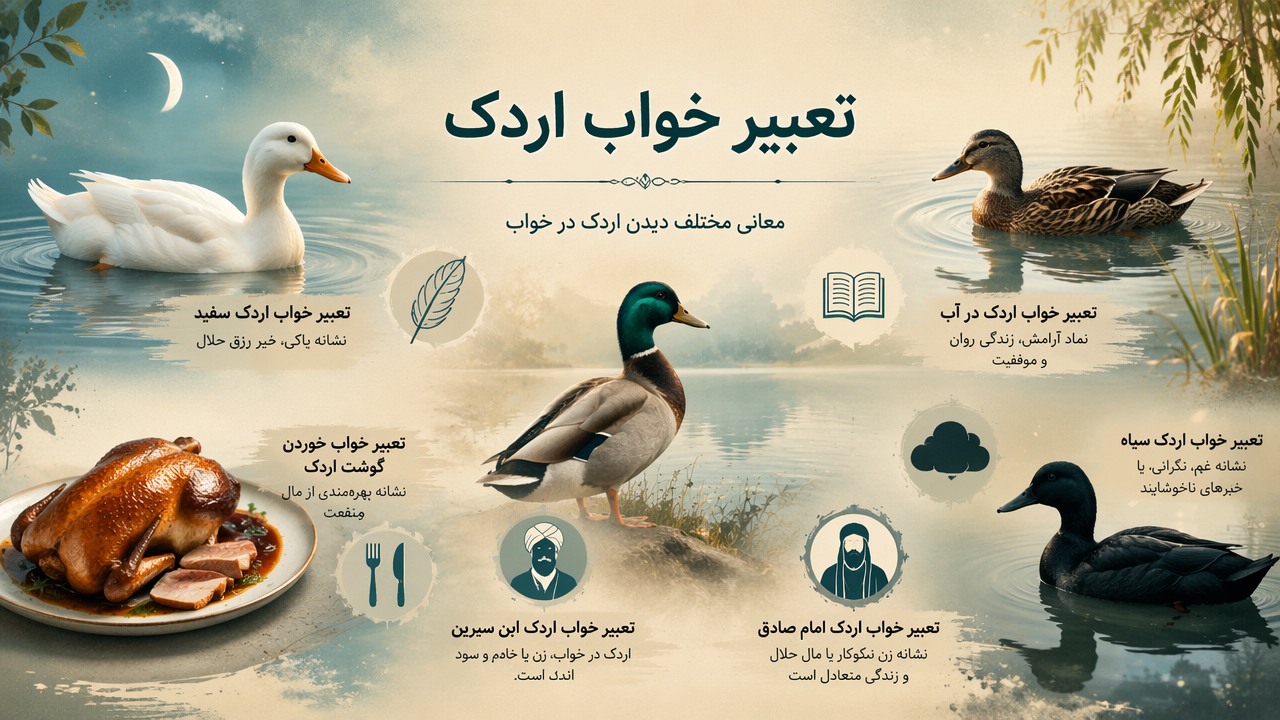 تعبیر خواب اردک, تعبیر خواب اردک سفید, تعبیر خواب اردک در آب, تعبیر خواب خوردن گوشت اردک, تعبیر خواب اردک سیاه, تعبیر خواب اردک ابن سیرین, تعبیر خواب اردک امام صادق, 