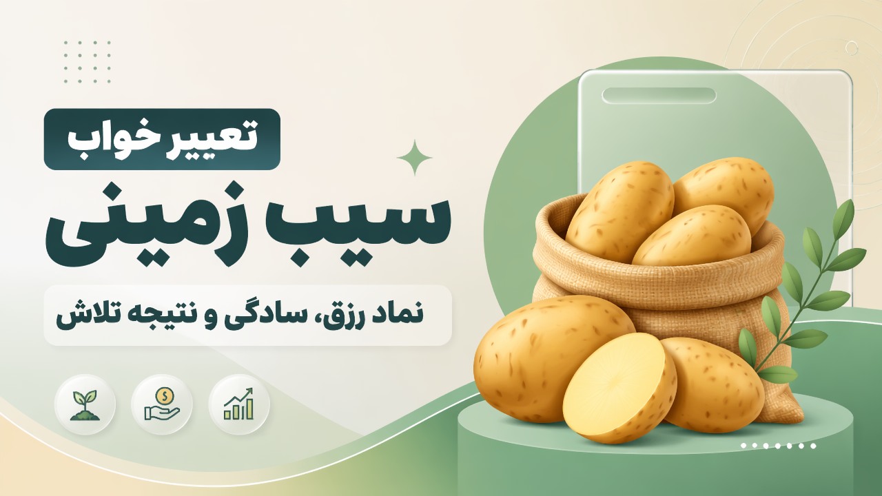 تعبیر خواب سیب زمینی؛ نماد رزق، سادگی و نتیجه تلاش