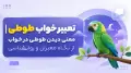 تعبیر خواب طوطی | معنی دیدن طوطی در خواب از نگاه معبران و روانشناسی