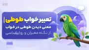 تعبیر خواب طوطی | معنی دیدن طوطی در خواب از نگاه معبران و روانشناسی