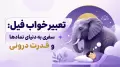 تعبیر خواب فیل: سفری به دنیای نمادها و قدرت درونی