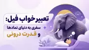 تعبیر خواب فیل: سفری به دنیای نمادها و قدرت درونی