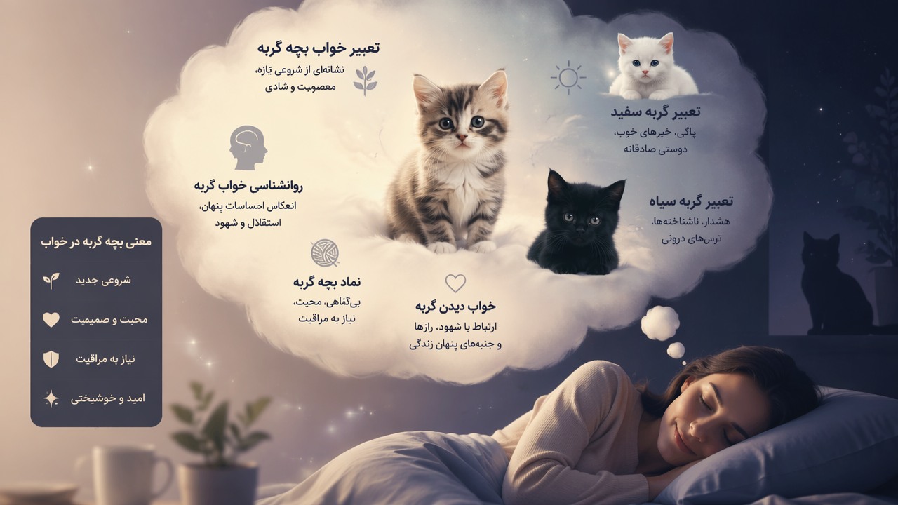 تعبیر خواب بچه گربه, خواب گربه, معنی بچه گربه در خواب, تعبیر گربه سفید, تعبیر گربه سیاه, روانشناسی خواب گربه, نماد بچه گربه, خواب دیدن گربه, 