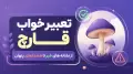 تعبیر خواب قارچ؛ از نشانه های خیر تا هشدارهای پنهان