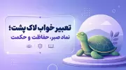 تعبیر خواب لاک پشت؛ نماد صبر، حفاظت و حکمت