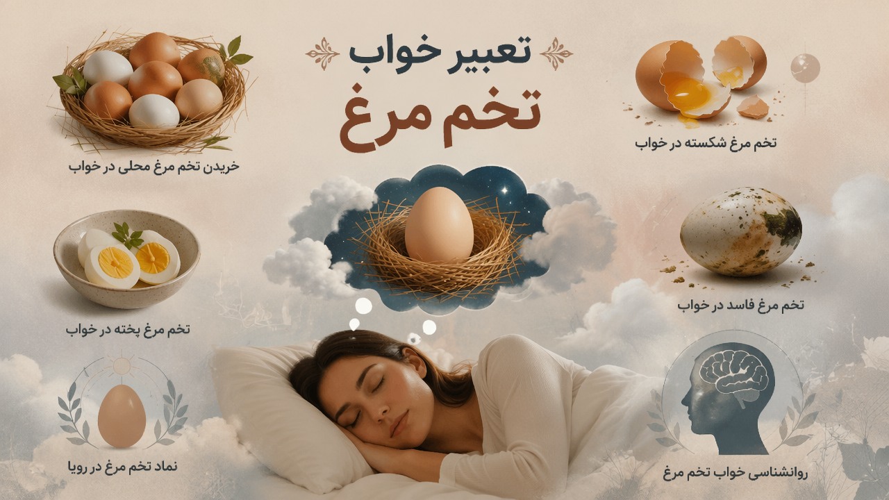 تعبیر خواب تخم مرغ محلی, تعبیر خواب تخم مرغ, خریدن تخم مرغ محلی در خواب, تخم مرغ شکسته در خواب, تخم مرغ فاسد در خواب, تخم مرغ پخته در خواب, نماد تخم مرغ در رویا, روانشناسی خواب تخم مرغ, 