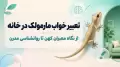 تعبیر خواب مارمولک در خانه | از نگاه معبران کهن تا روانشناسی مدرن