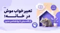 تعبیر خواب موش در خانه؛ از نگاه سنتی تا روانشناسی مدرن