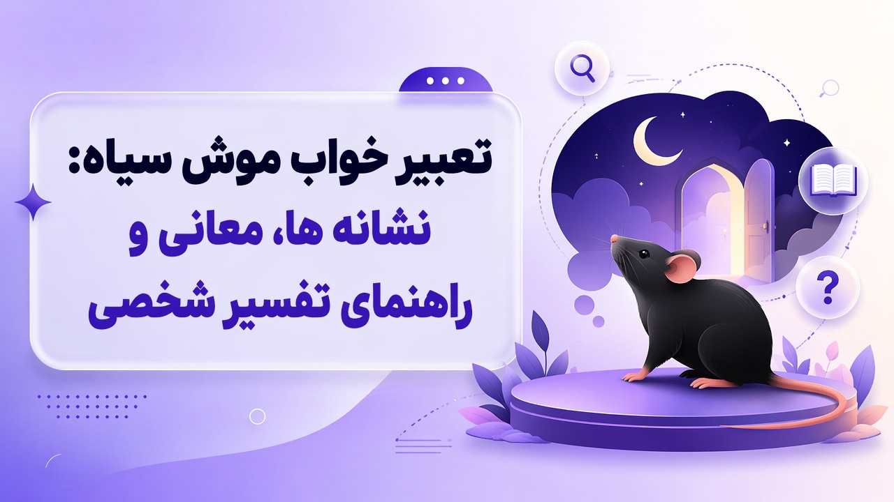 تعبیر خواب موش سیاه: نشانه ها، معانی و راهنمای تفسیر شخصی