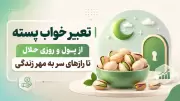 تعبیر خواب پسته | از پول و روزی حلال تا رازهای سر به مهر زندگی