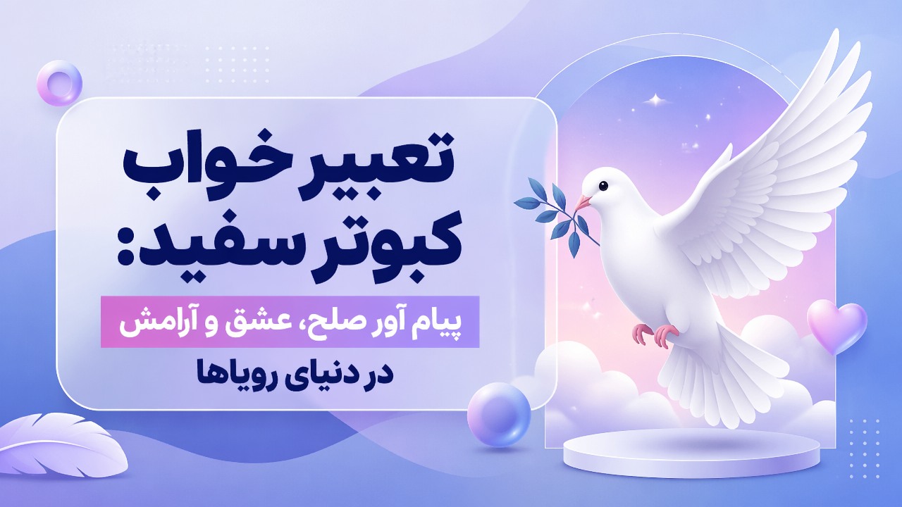 تعبیر خواب کبوتر سفید: پیام آور صلح، عشق و آرامش در دنیای رویاها