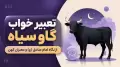 تعبیر خواب گاو سیاه از نگاه امام صادق (ع) و معبران کهن