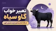 تعبیر خواب گاو سیاه از نگاه امام صادق (ع) و معبران کهن