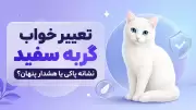 تعبیر خواب گربه سفید؛ نشانه پاکی یا هشدار پنهان؟