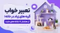 تعبیر خواب گربه های زیاد در خانه؛ از هشدار تا نشانه های مثبت