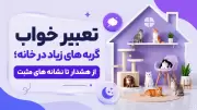 تعبیر خواب گربه های زیاد در خانه؛ از هشدار تا نشانه های مثبت