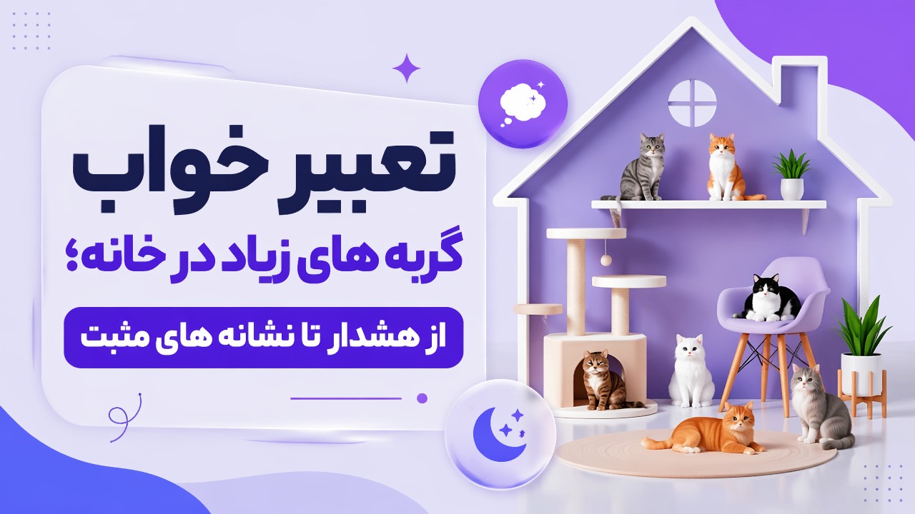 تعبیر خواب گربه های زیاد در خانه؛ از هشدار تا نشانه های مثبت