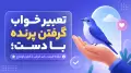 تعبیر خواب گرفتن پرنده با دست؛ نشانه فرصت، خبر خوش یا کنترل اوضاع
